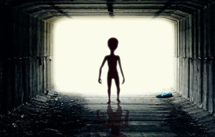 Foto referencial. Cru00e9dito: Pixabay 