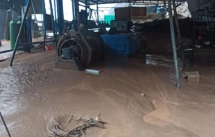 Una planta afectada por los aluviones. Cru00e9dito: ANDINA 