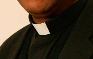 Imagen referencial / Foto: Wikipedia (CC-BY-SA-3.0) 