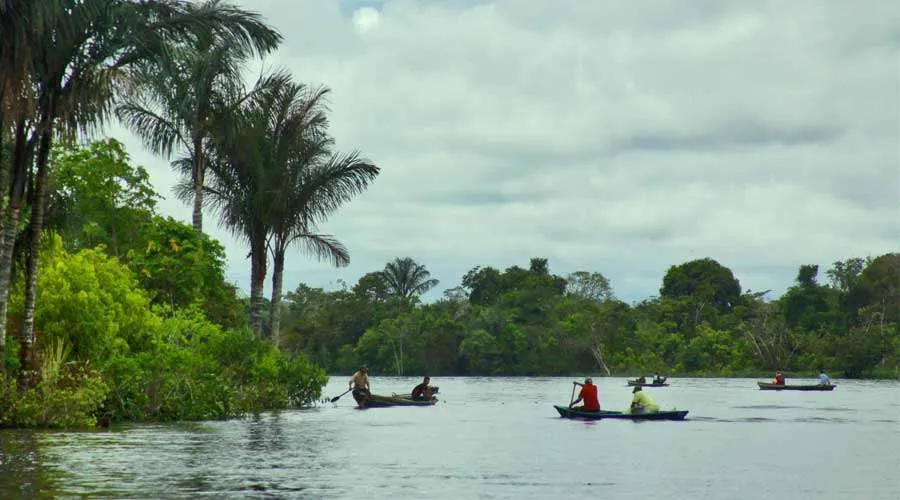 Riberas del río Amazonas. Foto: Eduardo Berdejo