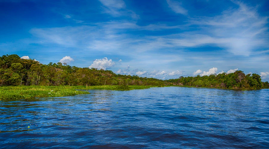 Foto referencial. Cru00e9dito: Flaviz Guerra / Wikipedia (CC BY-SA 3.0) ?w=200&h=150