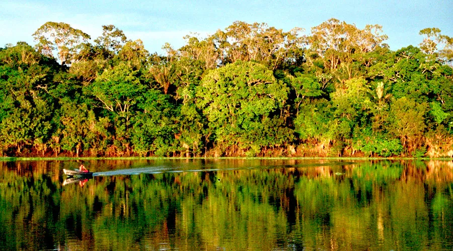 Amazonía. Crédito: Flickr Andre Deak / dominio público (CC0 1.0)