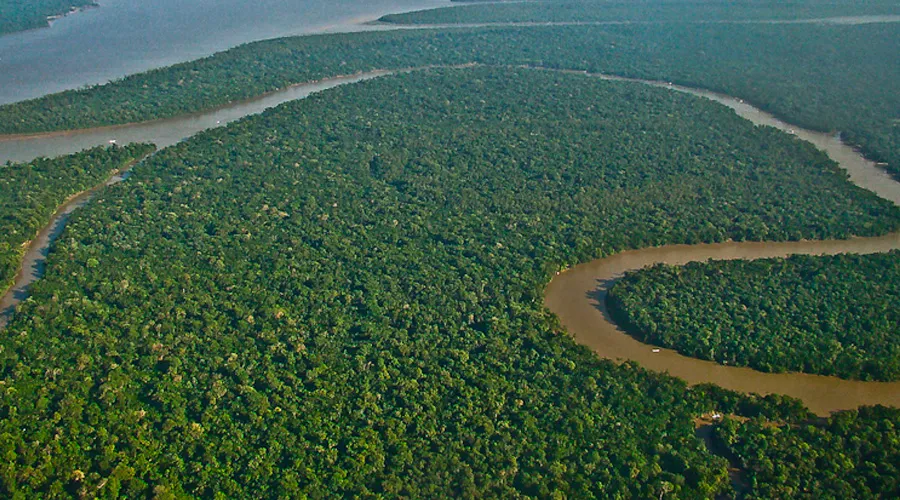 In dem jetzt frei gegebenen Amazonasgebiet in Brasilien soll vor allem Gold unter der Erde liegen, aber auch große Eisenvorräte, Kupfer und andere Erze