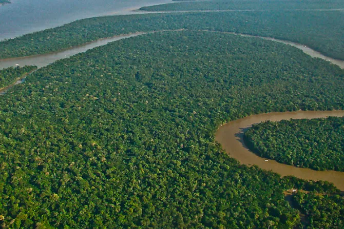 Presentan proyecto eclesial para preservar el Amazonas y la vida humana
