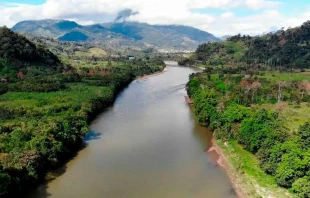 Amazonu00eda. Cru00e9dito: Pixabay 