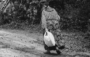 Imagen referencial / Cru00e9dito: Pixabay (Dominio Pu00fablico) 