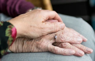 Imagen referencial. Cru00e9dito: Pixabay 