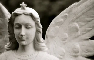 Imagen referencial. Cru00e9dito: Joseph Northcutt / Unsplash. 