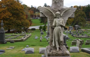 Imagen referencial / Foto: Flickr Anngav (CC-BY-2.0) 