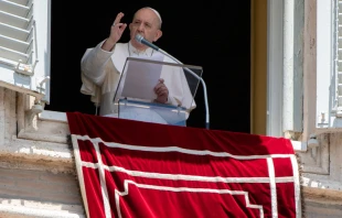El Papa Francisco durante el rezo del u00c1ngelus. Foto: Vatican Media 