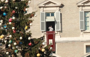 El Papa en el u00c1ngelus desde la Plaza de San Pedro. Foto: Daniel Ibau00f1ez / ACI Prensa 