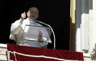 Papa Francisco en el rezo del u00c1ngelus. Foto: Vatican Media 
