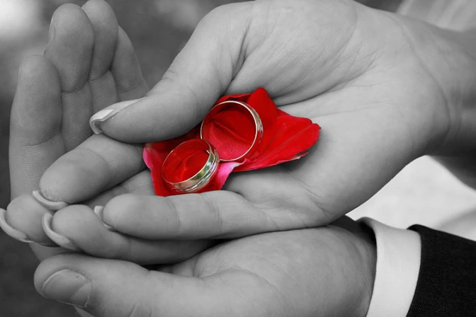 La familia se funda en el matrimonio para siempre, dice el Papa