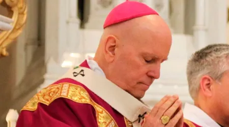 Arzobispo a obispos alemanes: ¿Son capaces de soportar el odio del mundo por el Evangelio?