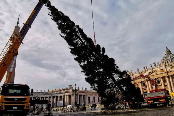 Finalizan los últimos trabajos para la inauguración de la decoración navideña del Vaticano