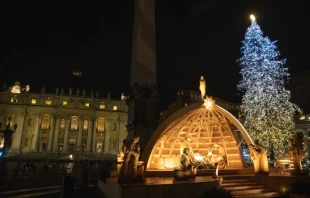 Nacimiento y u00e1rbol de Navidad en el Vaticano (2022). Cru00e9dito: Daniel Ibu00e1u00f1ez 