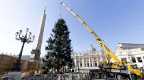 Instalación del árbol de Navidad en el Vaticano en el año 2017. Foto: Daniel Ibáñez / ACI Prensa