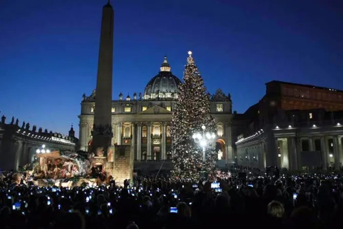 Vaticano: Árbol de Navidad en San Pedro será decorado por niños con cáncer