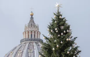 Árbol de Navidad en el Vaticano. (Foto de archivo). Crédito: Daniel Ibáñez / ACI Prensa 