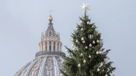 ¿Cuál es el significado del árbol de Navidad?, el Papa Francisco lo explica