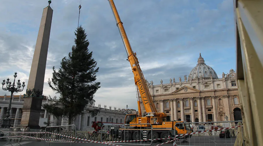 Instalación del Árbol de Navidad en la Plaza de San Pedro, en el Vaticano. Foto: Petrik Bohumil / ACI Prensa?w=200&h=150