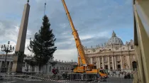 Instalación del Árbol de Navidad en la Plaza de San Pedro, en el Vaticano. Foto: Petrik Bohumil / ACI Prensa