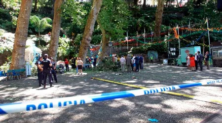 VIDEO: Al menos 12 muertos tras caída de árbol sobre romería por la Virgen