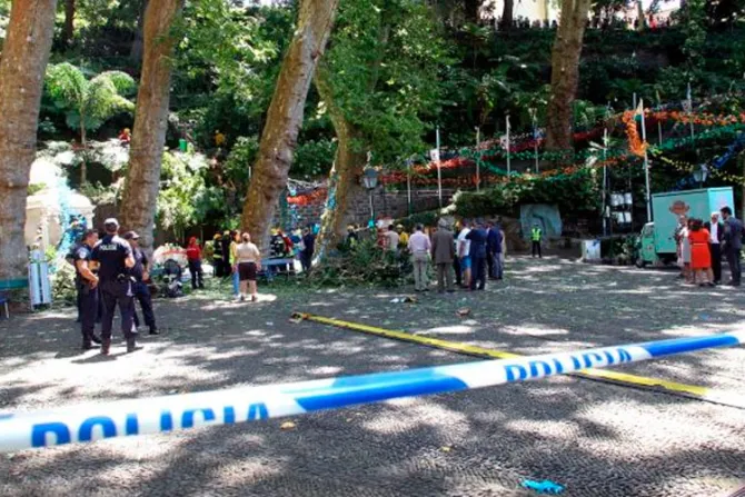 VIDEO: Al menos 12 muertos tras caída de árbol sobre romería por la Virgen