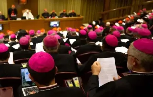 Imagen de archivo de la Asamblea del Sínodo de los Obispos. Foto: Daniel Ibáñez / ACI Prensa 