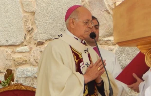 Cardenal Ricardo Blu00e1zquez. Cru00e9dito: Blanca Ruiz / ACI Prensa 