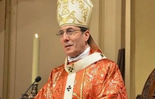 Mons. Francisco Pu00e9rez Gonzu00e1lez. Cru00e9dito: Iglesia de Navarra 