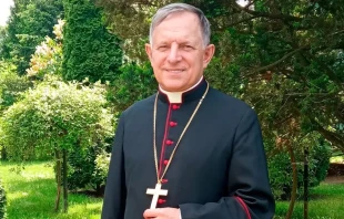 Mons. Mieczyslaw Mokrzycki. Cru00e9dito: Echo Katolickie 