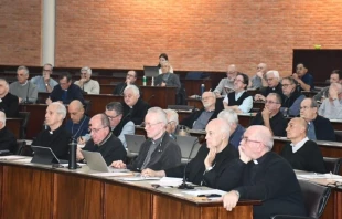 Asamblea Plenaria de Obispos. Cru00e9dito: ADN CELAM 