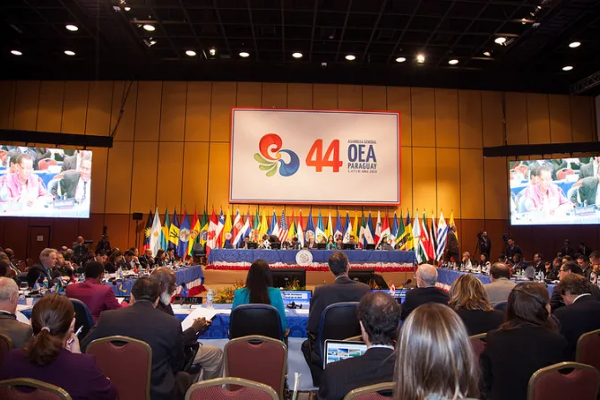 Al menos 12 países rechazan agenda gay en Asamblea General de la OEA