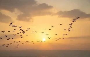 Atardecer en Magdala, Tierra Santa. Cortesu00eda: Magdala. 