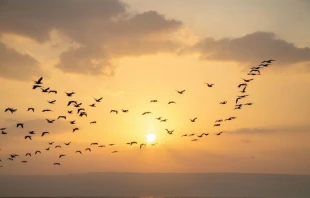 Atardecer en Magdala. Cortesu00eda: Magdala. 