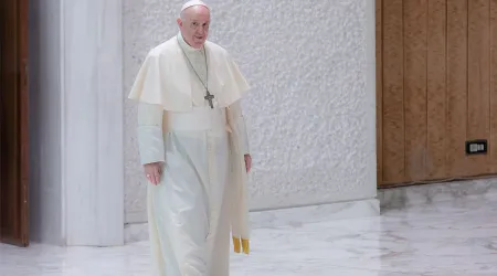 Catequesis del Papa Francisco sobre la importancia de la Ley