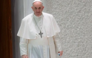 El Papa Francisco durante la Audiencia General. Foto: Daniel Ibu00e1u00f1ez / ACI Prensa 