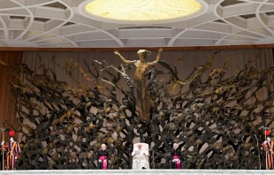 Audiencia General del Papa Francisco este miu00e9rcoles. Cru00e9dito: Vatican Media 