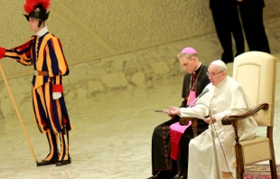 El Papa en la Audiencia General. Foto: Daniel Ibu00e1u00f1ez / ACI Prensa 