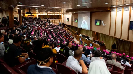 Nombran a los miembros del Consejo Especial Postsinodal del Sínodo de la Amazonía