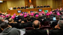 El aula del Sínodo en el Vaticano durante una de las sesiones en octubre de 2019. Crédito: Daniel Ibáñez / ACI Prensa