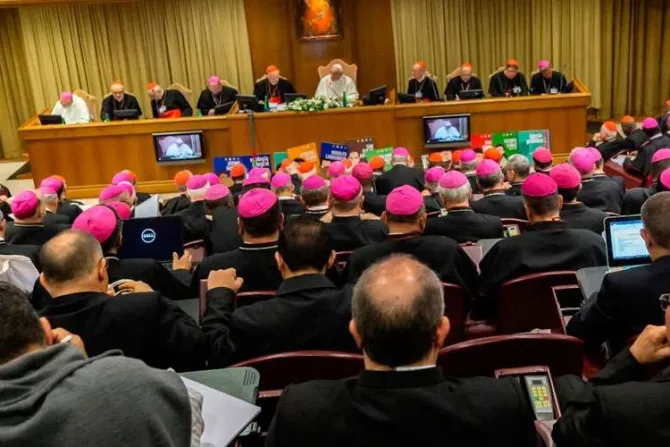 Papa consultará con algunos obispos su próxima exhortación apostólica sobre la Amazonía