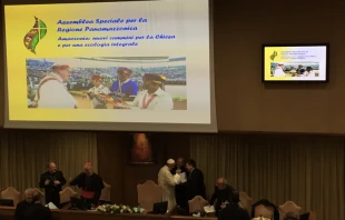 Asamblea Especial del Su00ednodo de la Amazonu00eda en el Aula Nueva del Su00ednodo. Foto: Mercedes De La Torre / ACI  