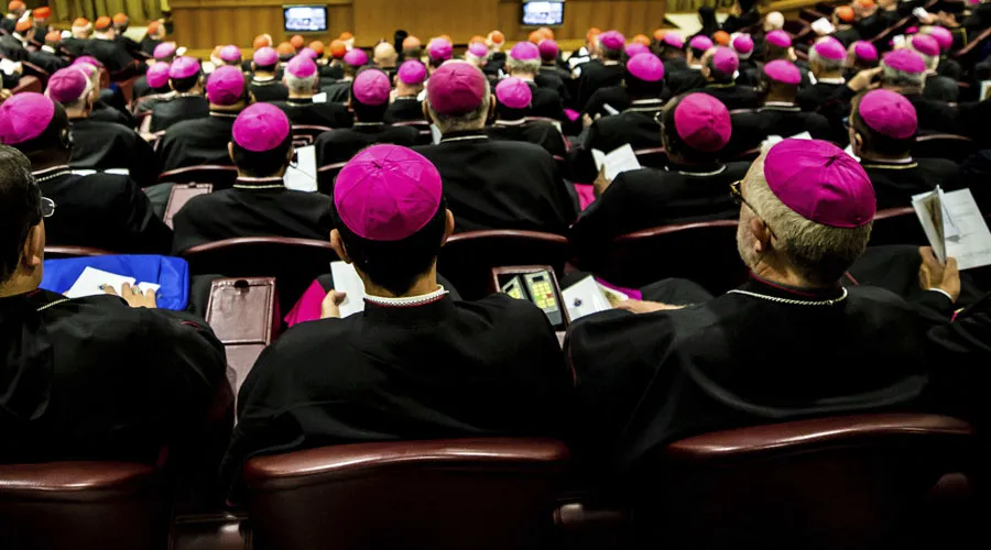 Obispos en el Aula del Sínodo. Crédito: Daniel Ibáñez / ACI