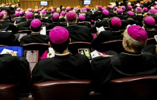 Obispos en el Aula del Su00ednodo. Cru00e9dito: Daniel Ibu00e1u00f1ez / ACI 