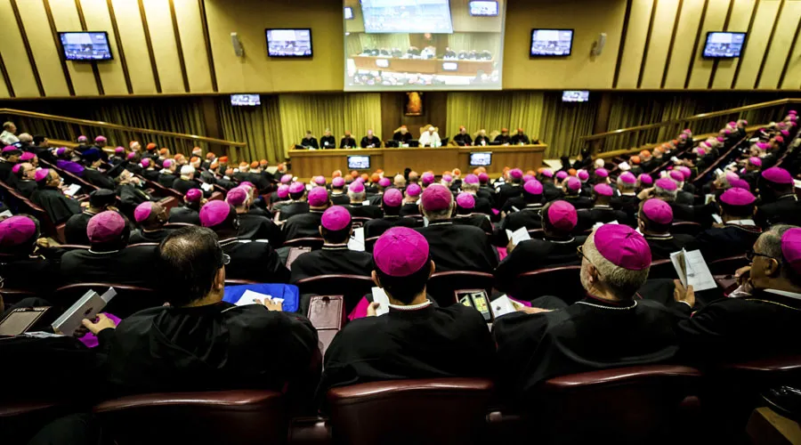 Aula del Sínodo de los Obispos en el Vaticano. Foto: Daniel Ibáñez / ACI Prensa?w=200&h=150