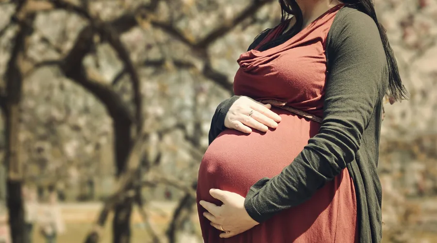 Imagen referencial de madre embarazada. Crédito: Pixabay?w=200&h=150