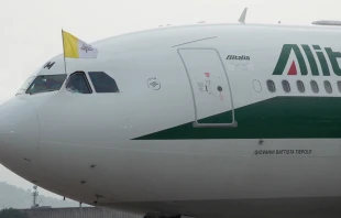 Aviu00f3n Papal (Foto referencial) / Foto: Walter Su00e1nchez Silva (ACI Prensa) 