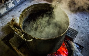 Cocciu00f3n de la ayahuasca en Iquitos en la amazonu00eda peruana. Cru00e9dito: Apollo (CC BY 2.0) 